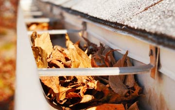 Upper Neepaback gutter cleaning companies
