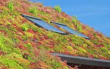 Upper Neepaback living roof systems