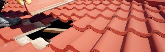 compare Upper Neepaback roof repair quotes